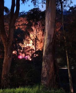 Police appealing for information surrounding Warburton fire