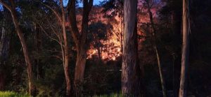 Warburton dodges a bullet as potentially devastating fire extinguished by CFA