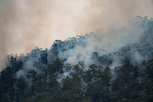Wesburn planned burn to ignite soon