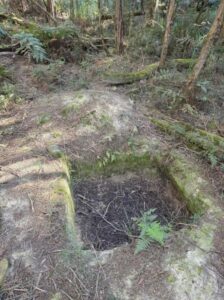Hoddles Creek damaged by prospecting sites