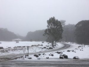Mount Donna Buang to get some snow this weekend
