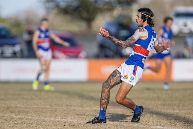 Wandin win with wind in its stride