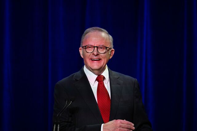 Pollies_475980_02.jpg