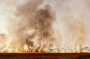 Wesburn planned burn is now underway