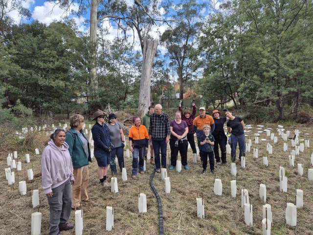 Friends of the Creek plant 1000 natives along Wandin Yallock Creek