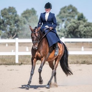 Horse Talk