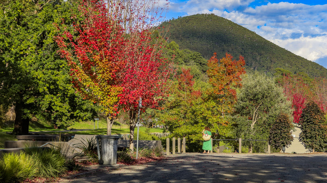 In Pictures: The beauty of the Upper Yarra