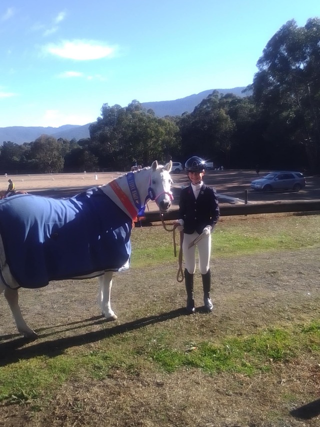 Horse Talk