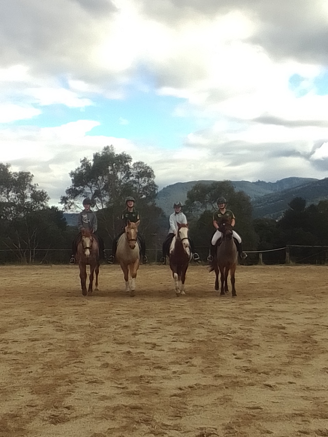Horse Talk