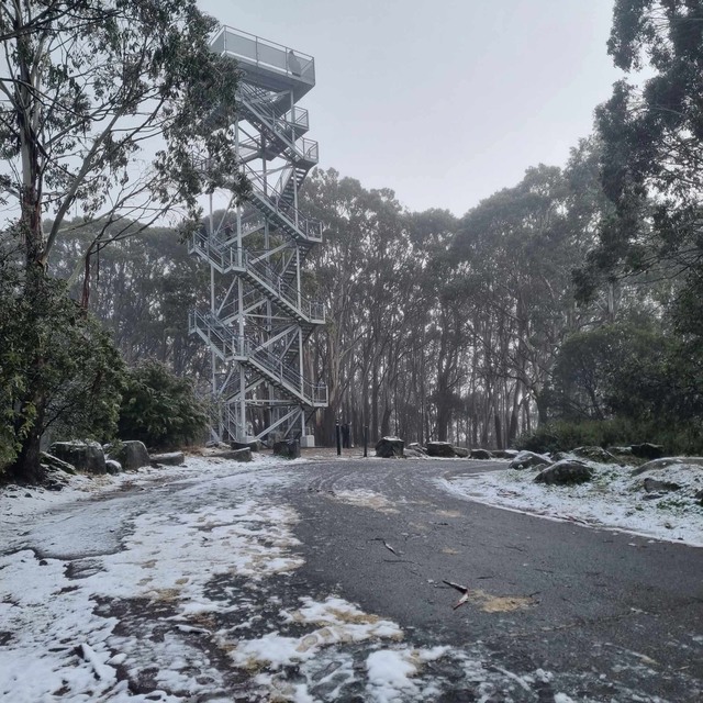 In Pictures: Snow on Mount Donna Buang