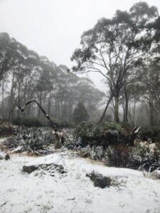 Snow this weekend for Mount Donna Buang