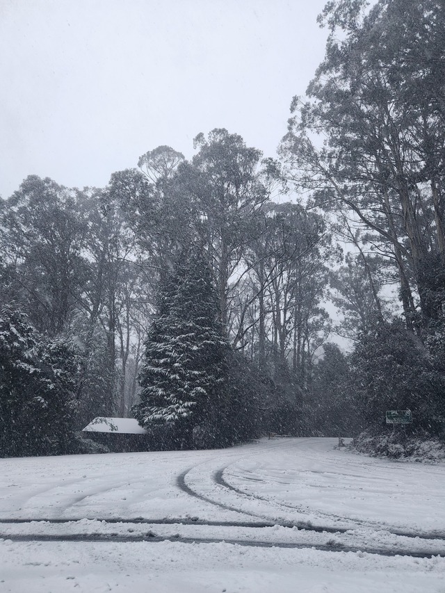 Heavy snowfall on Mount Donna Buang