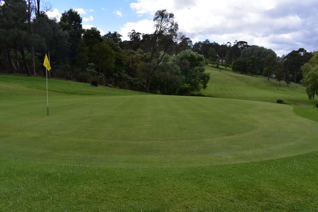 Hall eclipses the green
