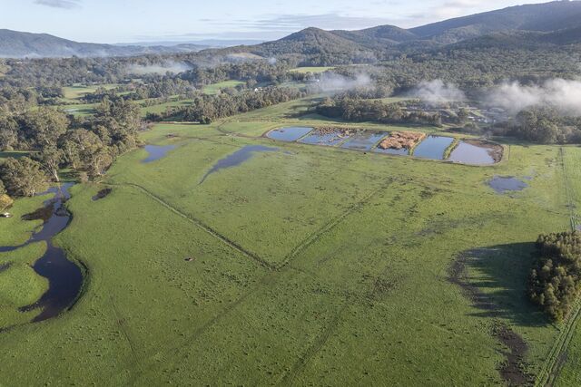 ‘Environmental DNA’ used for local wetland restoration