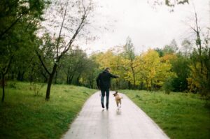 Dog owners reminded to scoop the poop