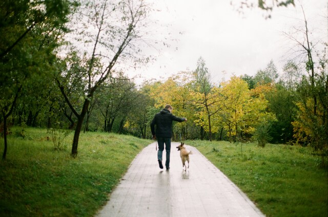 Dog owners reminded to scoop the poop