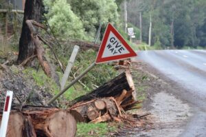 Damaging winds this weekend