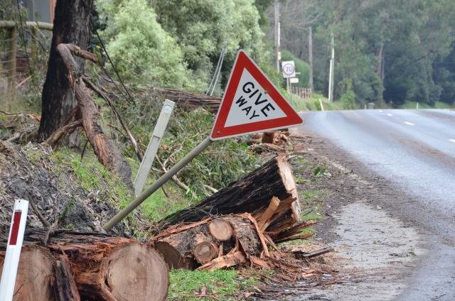 Damaging winds this weekend