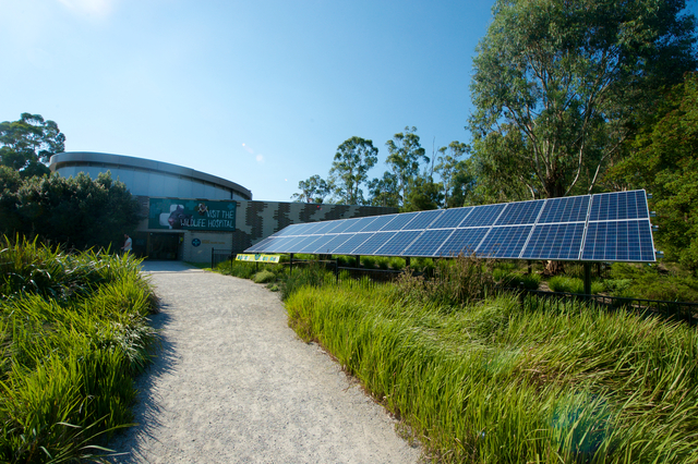 Australian Wildlife Health Centre renovation completed soon