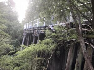 Historic Dee Slip Bridge slotted for repairs in spring