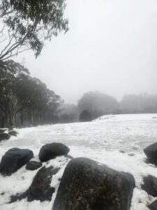 Snow forecast for Mt Donna Buang early next week