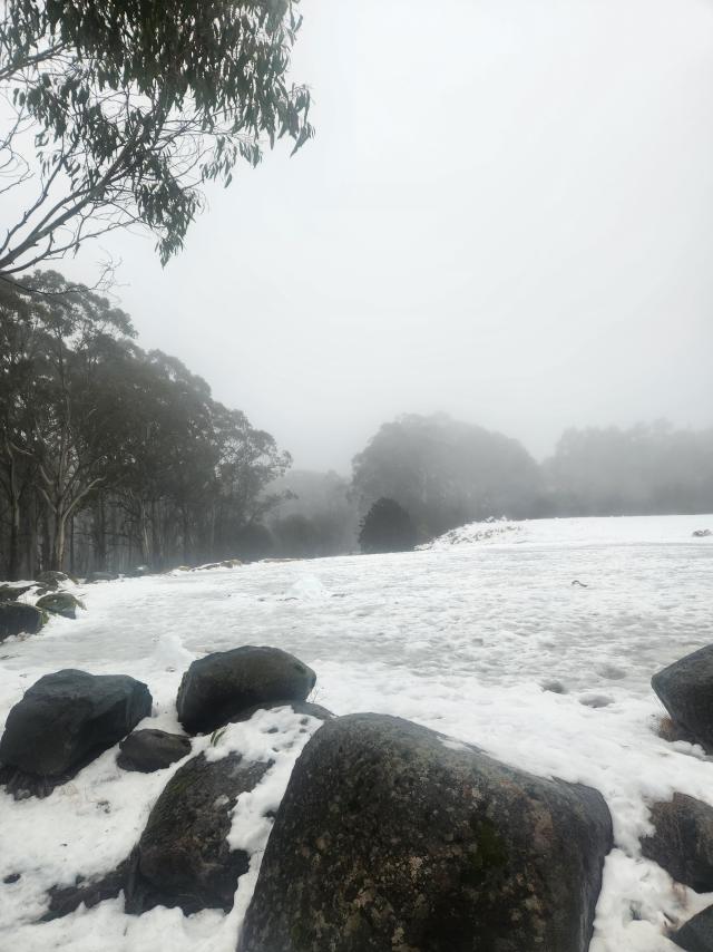 Snow forecast for Mt Donna Buang early next week