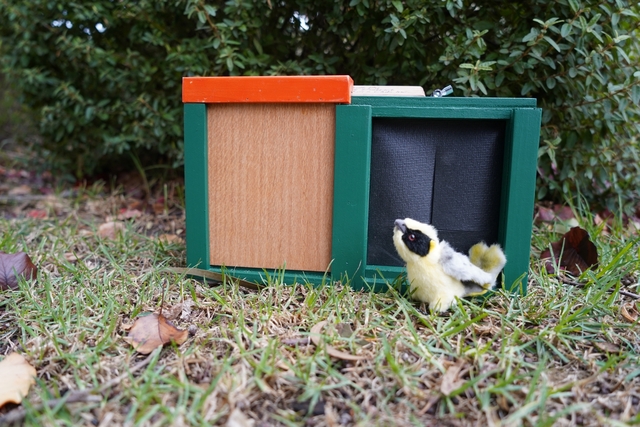 Local woodworkers help conservation of endangered species