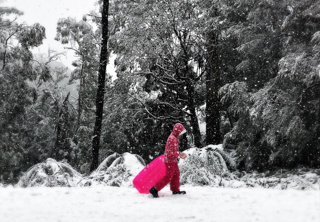 Upper Yarra photo competition entries close soon