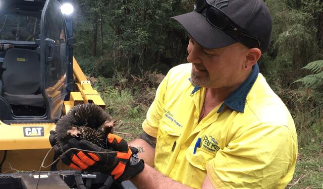 World Ranger Day highlights rewarding but dangerous field