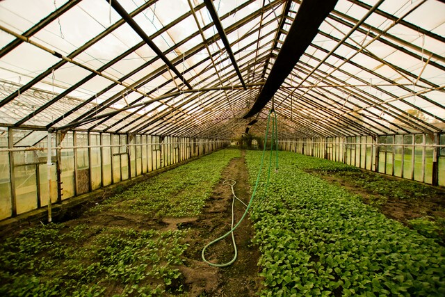 FWO launches horticulture troublespot inspections after nation’s least-compliant regions revealed