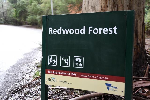 Works commence at Redwood Forest