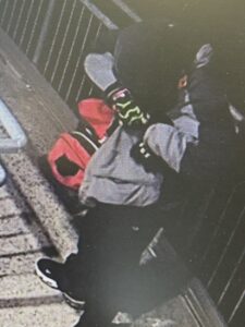 Information on tagger in Warburton wanted