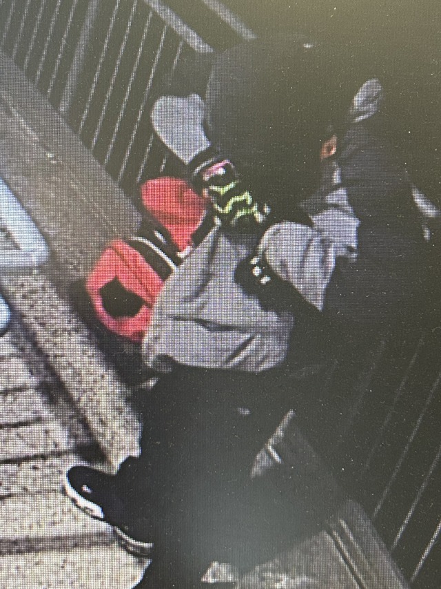 Information on tagger in Warburton wanted
