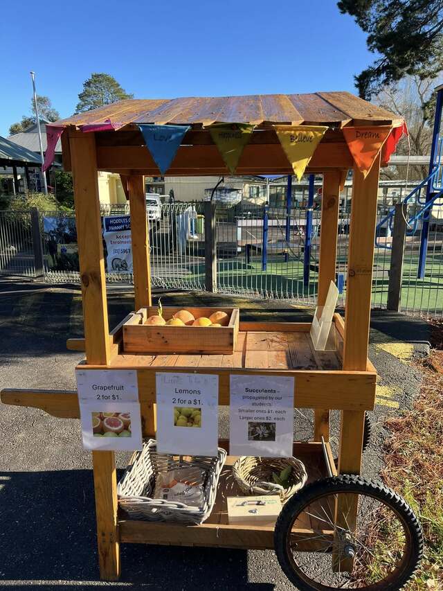 Plants stolen from Hoddles Creek Primary School