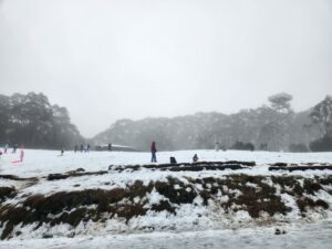 Some heavy snow on Mount Donna Buang this weekend