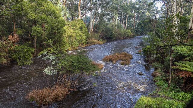 In Pictures: Life along the Yarra