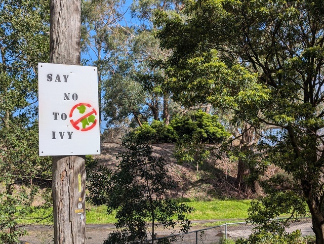 It’s weed whacking season in the Yarra Ranges