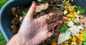 Free composting and worm farming webinar