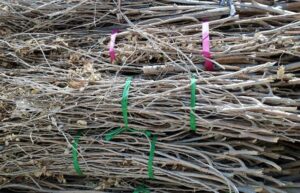 Prepare properties now for bushfire season