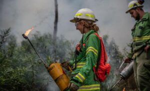 Silvan planned burn complete