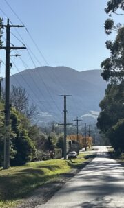 Council pass controversial Hoddle Street planning application