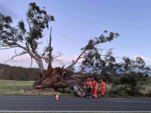 SES crews wrestle with windy conditions
