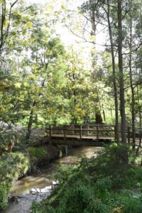 Walks that ‘light up’ over summer