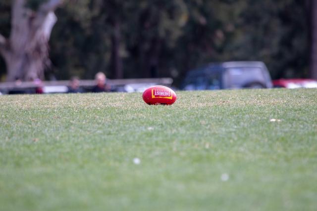 Police prepare for uptick in family violence ahead of AFL grand final