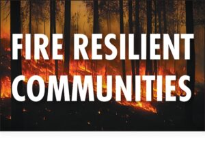 Montrose fire – the aftermath and regeneration