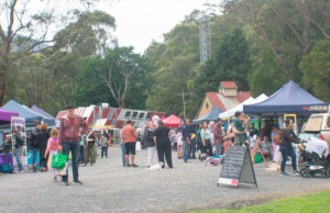 Prepare for bushfires over a barbecue and some face paint at the Millgrove Community Open Day