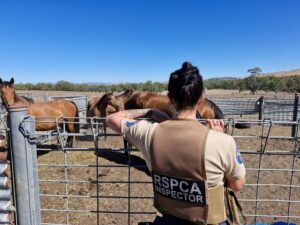 Animal owners struggle to feed as Yarra Ranges ranks second-worst for animal cruelty