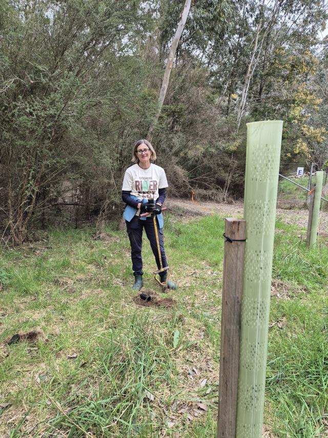 Yellingbo planting day a hit among community