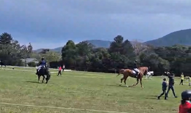 Horse Talk MVM