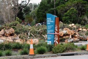 Council approves $10 million emergency fund for natural disasters